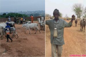 Insecurity: Ogbomoso Communities Issue 48-Hour Ultimatum to Herdsmen Over Security Threats